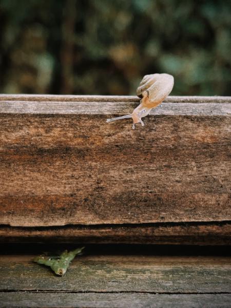 Created with RNI Flashback